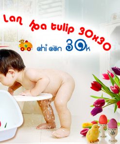 Nhà cửa